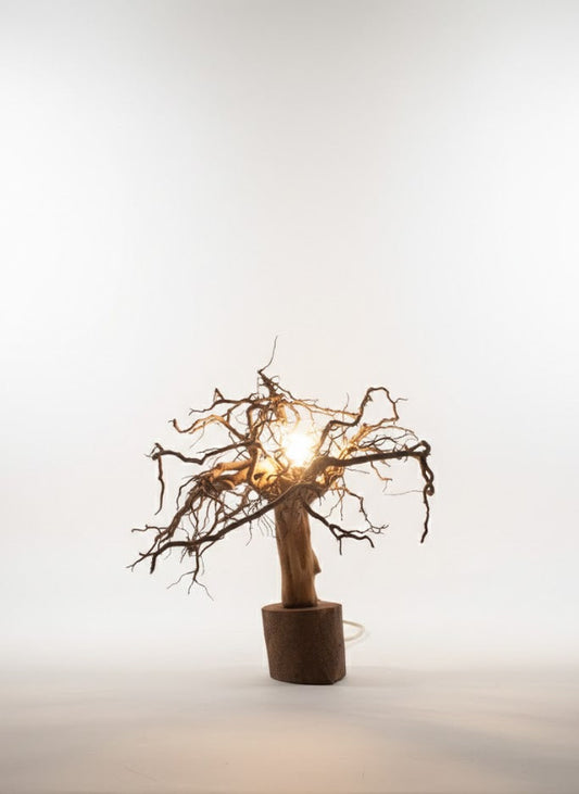 Metos Ham Mandalina Kökü Söğüt Zemin Lamba